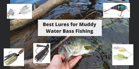 best muddy water bass baits.